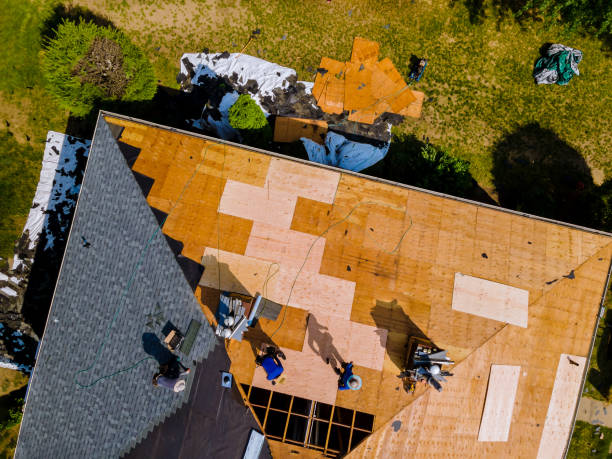 Best Roof Gutter Cleaning  in Central High, OK