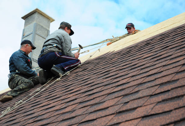 Best Roof Leak Repair  in Central High, OK